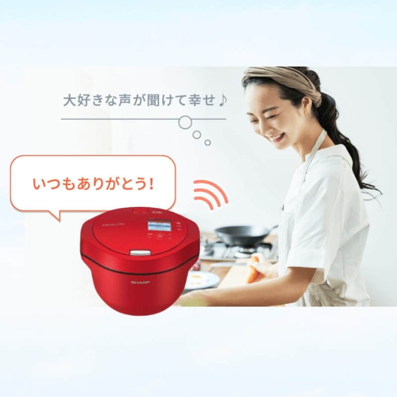 COCORO VOICEのご紹介