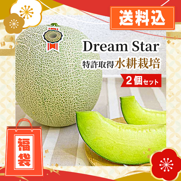 【数量限定】さぬきメロン Dream Star 2個セット