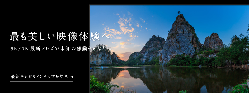 最新テレビラインナップを見る