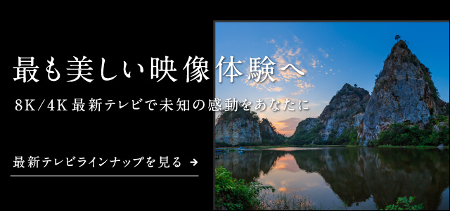 最新テレビラインナップを見る