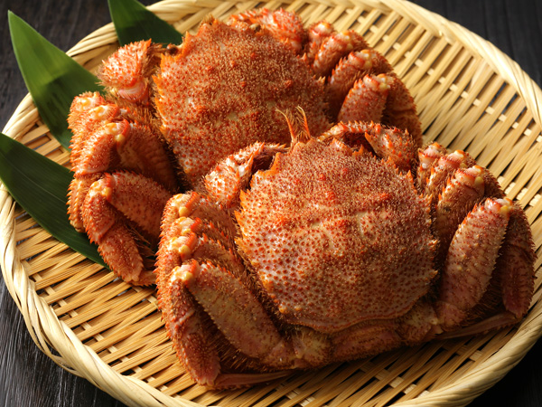 浜ゆで 北海道オホーツク海産毛がに2尾（Mサイズ2尾計800g）