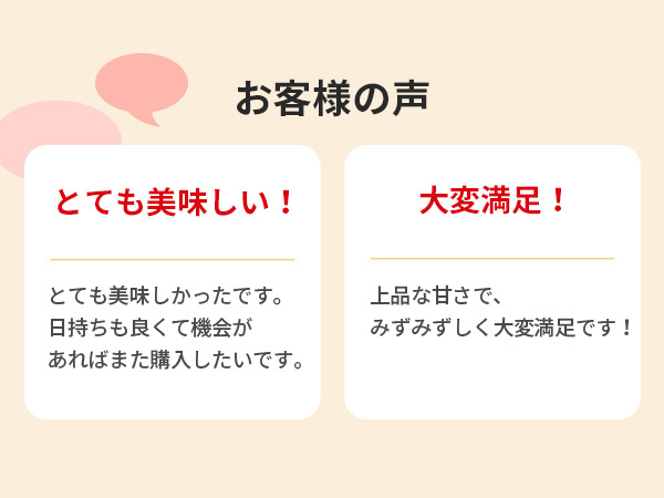 【数量限定】さぬきメロン Dream Star 2個セット