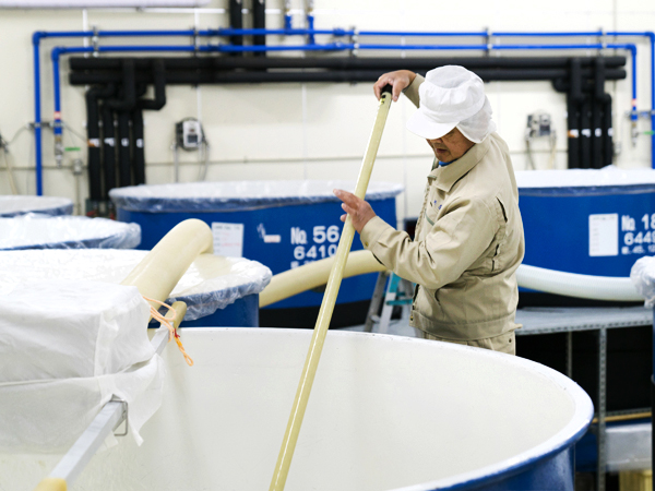 【数量・季節限定】天鷹酒造 新酒しぼりたて生原酒2本セット（純米大吟醸天鷹心・特別本醸造天鷹）