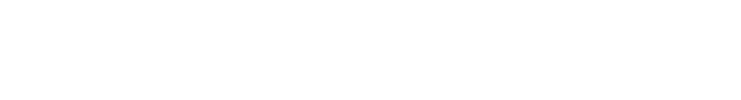 整備のこだわり Professional